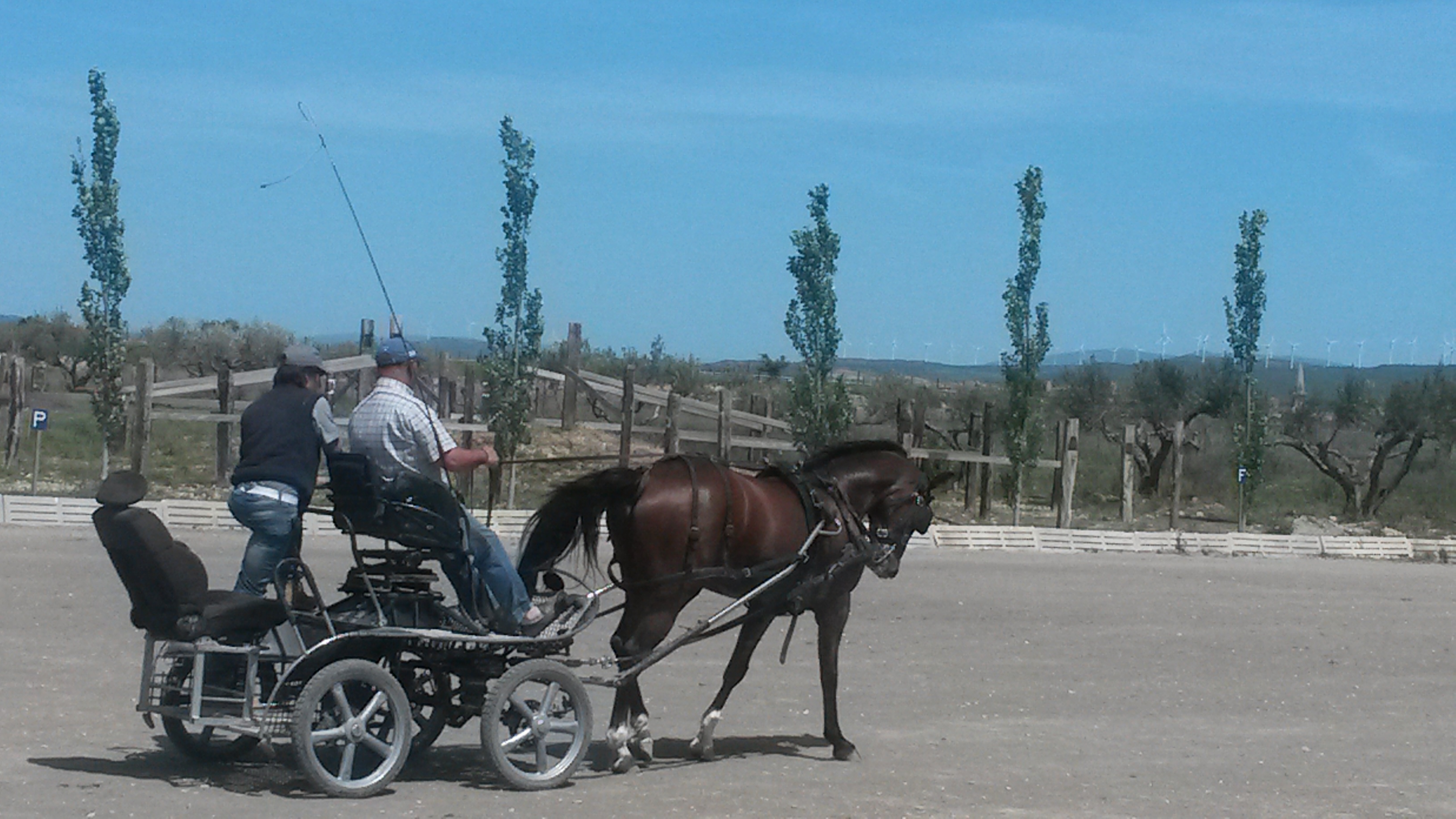 Clínic de actualización y perfeccionamiento en Enganches impartido por Juan Esteve en el Club Hípico La Pinturita de Olite